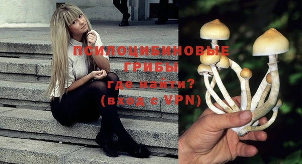 соль курить ск Новозыбков