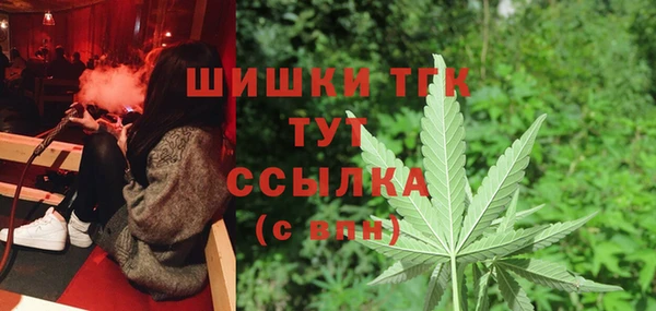 соль курить ск Новозыбков