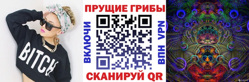 МЕГА вход  Остров  Псилоцибиновые грибы Psilocybe 